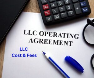 How much a Texas LLC costs
