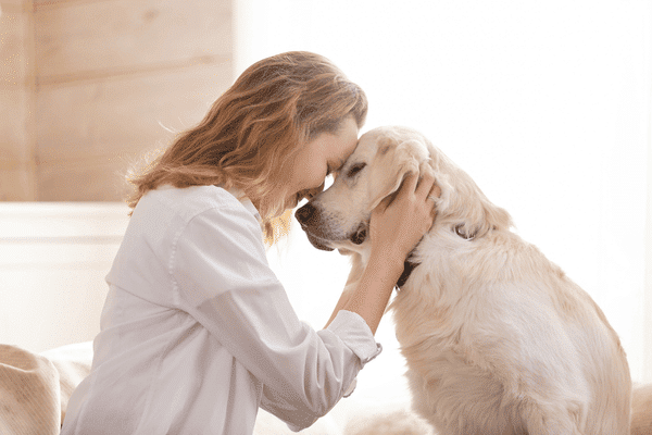 pet trusts- Ensure Your Pet Is Cared For After You’re Gone